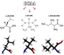 BCAA – формула заветного успеха