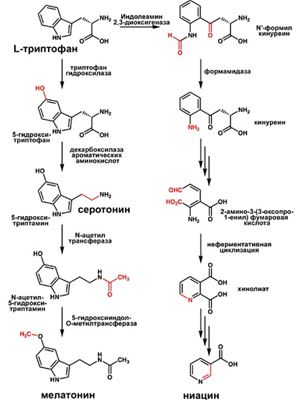 Регуляторы сна – гарантия полноценного отдыха после тренировок!